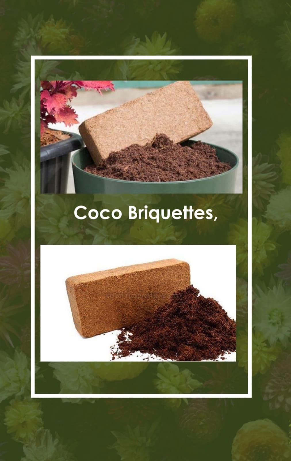 650g Coco Briquettes