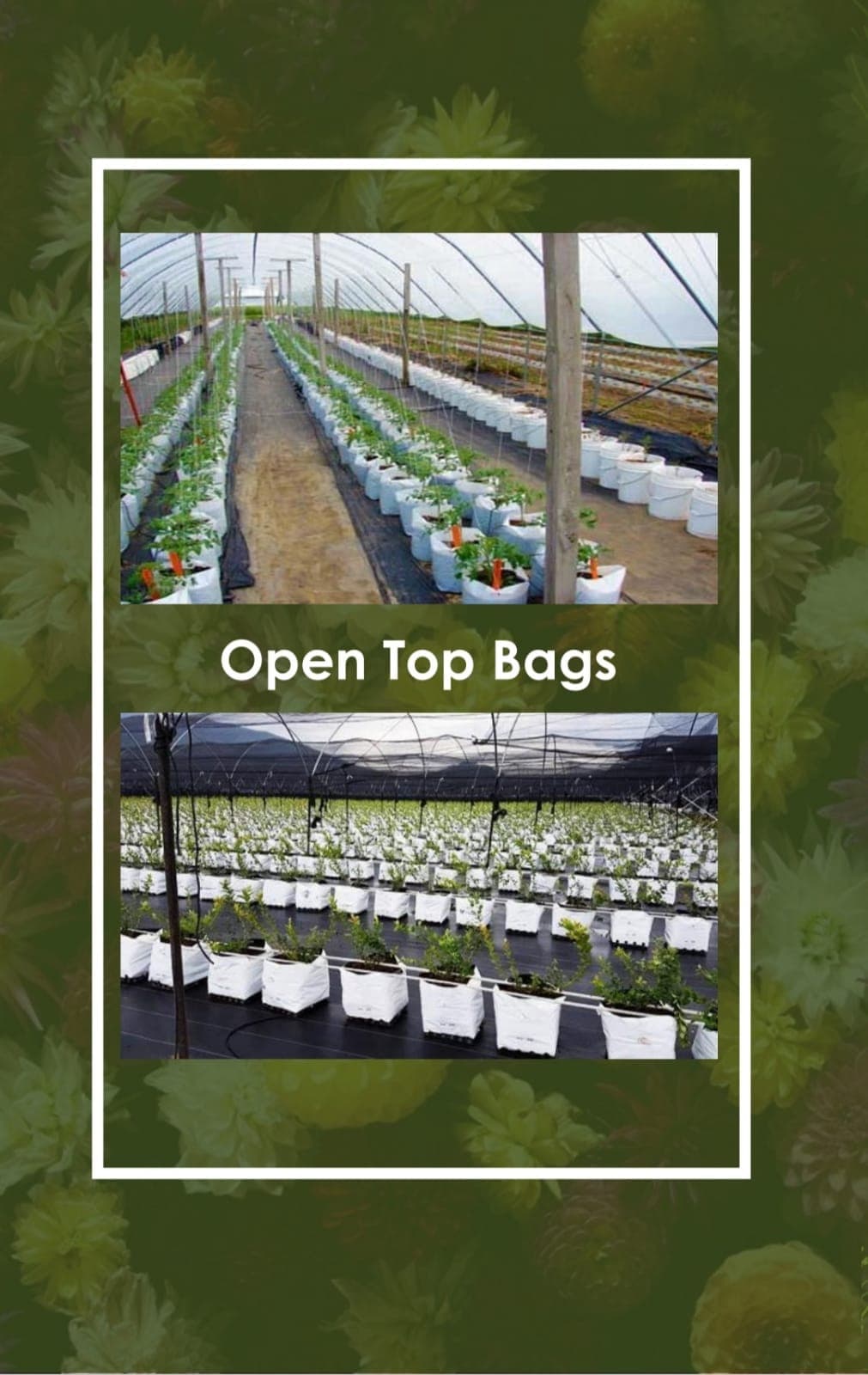 Open Top Grow Bags