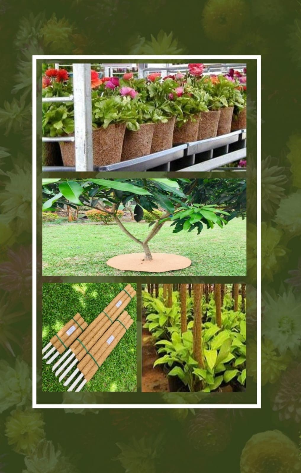 Coir in nursery applications