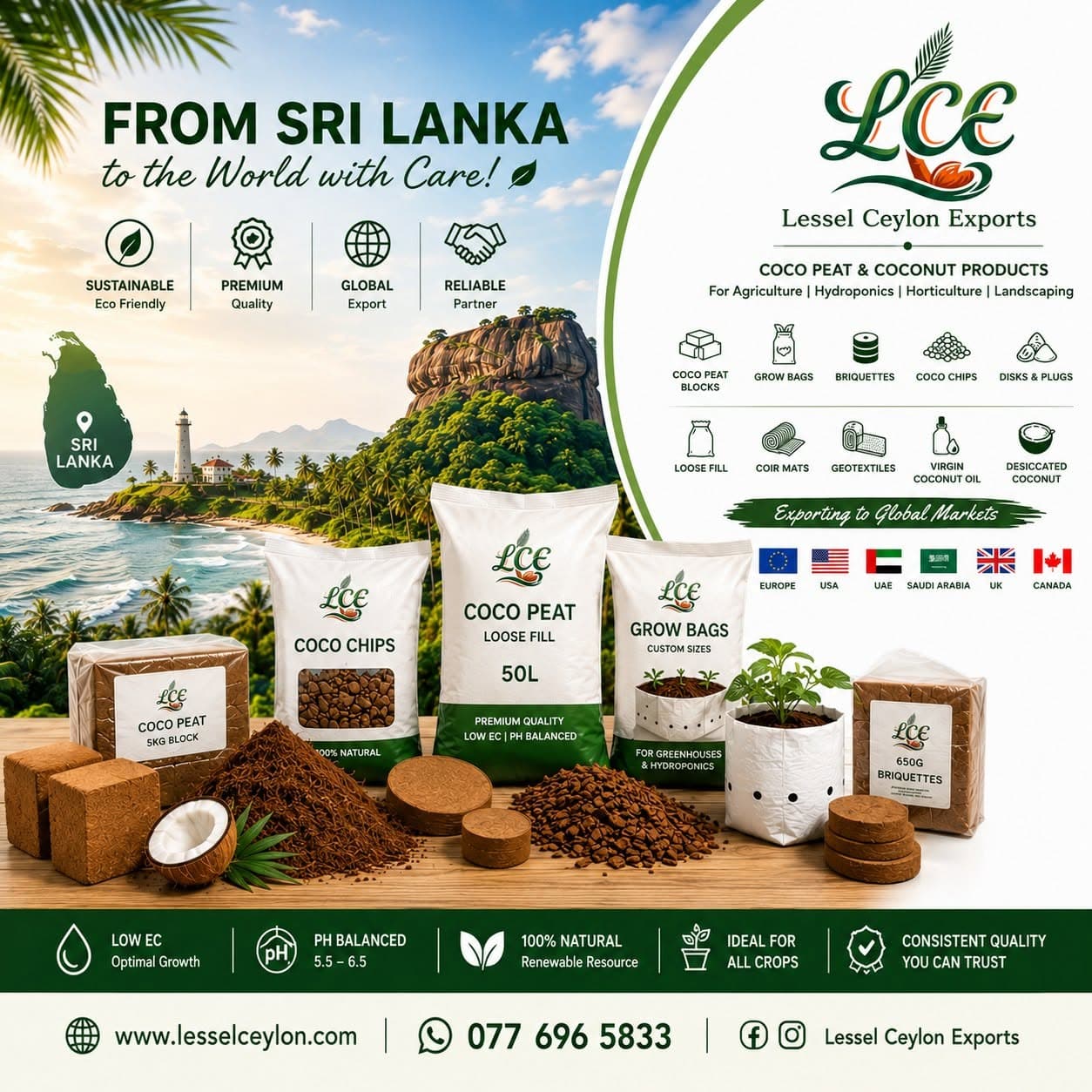 Sri Lanka, the island of coconut