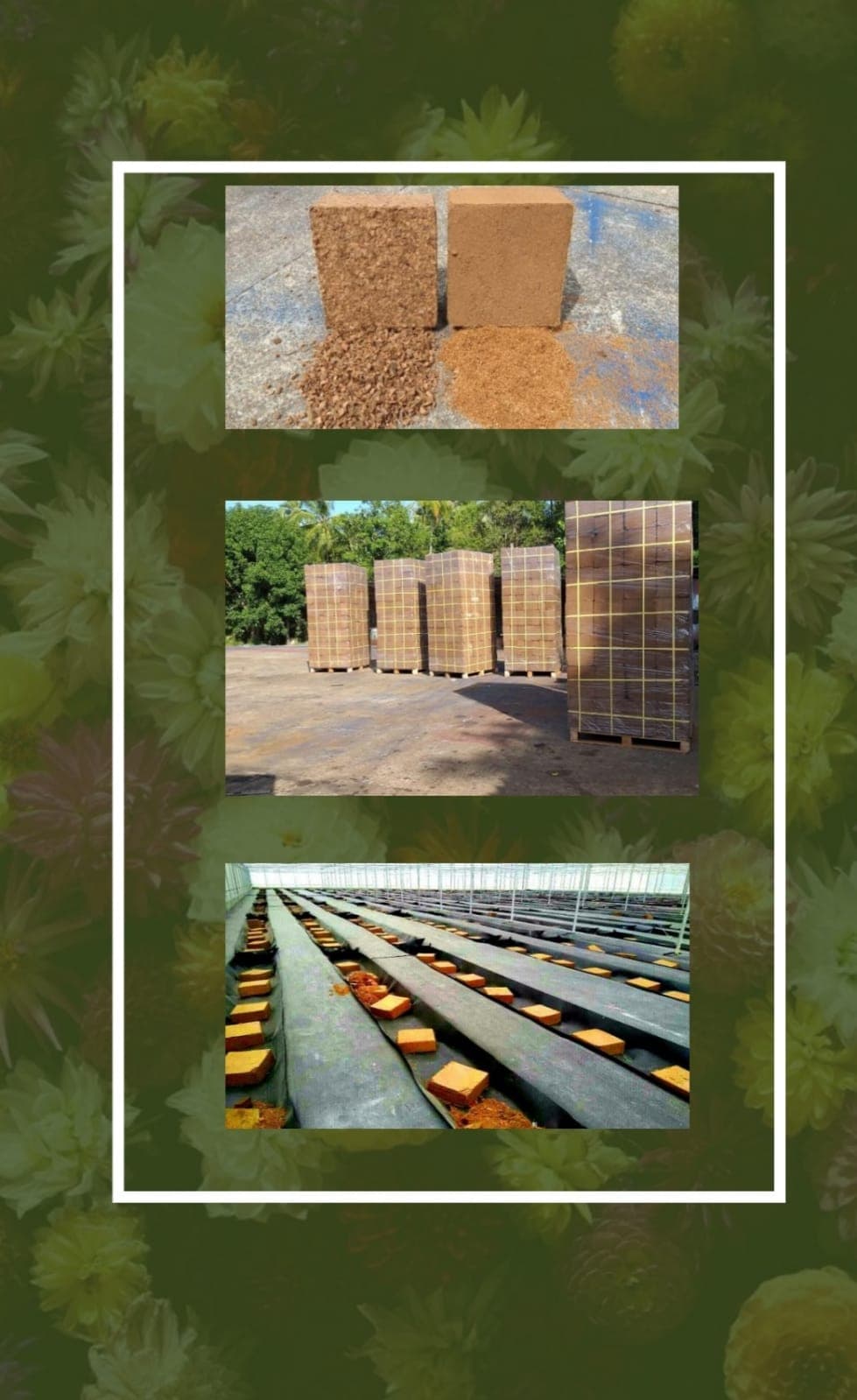 Coco Peat Blocks