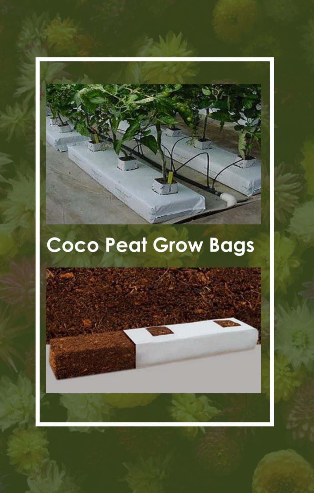 Grow Bags